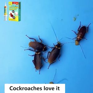Cockroach Bait Cockroach Killer Ubat Lipas Rumah Racun Lipas Roach Cockroach Gel Bait 蟑螂