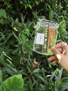 XIAOXIONGERBAN | DIY Leaf Vein Bookmark Kit for Kids