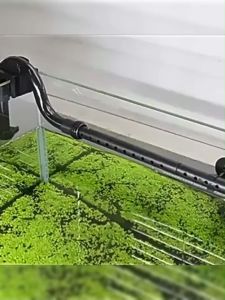 SUNSUN กรองนอกตู้ปลา HW-702B/703B/704B Filters พร้อมหลอดยูวี มีปั๊ม กรองน้ำได้ละเอียด มีประสิทธิภาพ เสียงเบา ประหยัดไฟ สำหรับตู้ปลา มีปั๊มมาพร้อมในตัวเครื่องกรอง ช่วยให้กรองน้ำได้ละเอียด