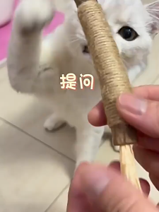 木天蓼磨牙棒猫玩具自嗨解闷猫薄荷球逗猫棒耐咬猫咪用品自然