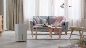 NEW WIDETECH Dehumidifier 12L / 18L / 30L Electric Air Dehumidifier For Home Multifunction Dryer Heat Dehydrator Moisture Absorber เครื่องดูดความชื้น