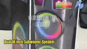 BTS-1708 3600mAh 10 Inches Dual Portable Bluetooth Speaker w/ Free 2pcs Wireless karaoke Rechargeable Mic