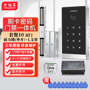 Waterproof Access Control System Card Reader Integrated Machine for Glass Wooden Doors Office Entrance Iron Door Security Kit