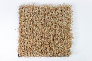 SG Ready stock - Artificial grass LATTE colour 25mm for kinder garten schools event Christmas decorations beatify home office and hotels.