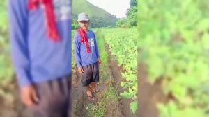 MI 3GS Super Grow FOLIAR fertilizer Booster and Enhancer 500ml GREEN with Japan technology