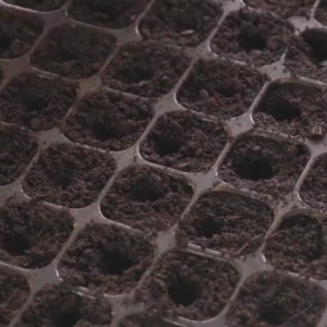 ถาดเพาะเมล็ดกล้า 105 หลุม ขนาด 4 นิ้ว สีดำ สำหรับเพาะต้นอ่อน วัสดุพรีเมียม