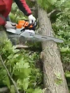 Reaim Mall Professional Chainsaw 18/20/22 inch 52cc Heavy Duty Petrol Gasoline Chain Saw Original 2.2kw Mesin Tebang Poko 汽油锯