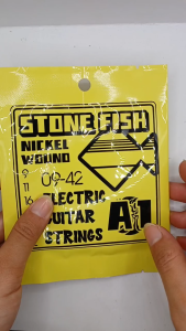 Senar String Gitar Guitar Elektrik Electric Stone Fish A1 09-42
