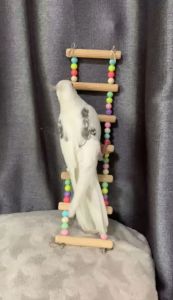 บันไดนก สะพานนก สะพานบันไดลูกปัดสีหวาน ของเล่นสัตว์เลี้ยง 5-11ขั้น