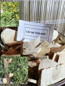 1Kg Cây Me Thúi Khô- Sản phẩm sạch organic