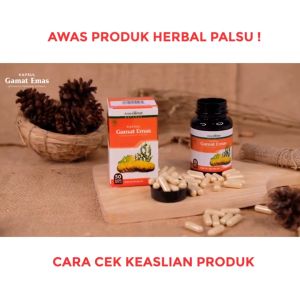 Obat Sakit Pinggang dan Punggung: Kapsul Gamat Emas