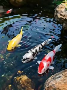 2/4PCS Artificial Koi Decor - Realistic Multi-Color Fish for Aquarium/Pond | 3D Scales & Moving Eyes | Eco-Safe Plastic