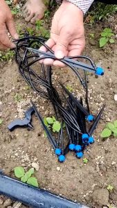 Combo 10 Béc Tưới Nhỏ Giọt Phun Xòe