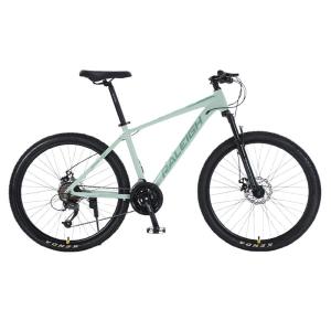 Raleigh | MT300 Gear Change Bicycle