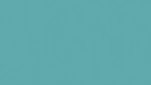 RapidFuse® All Purpose Adhesive Fine Bristle Brush Lem Serbaguna USA