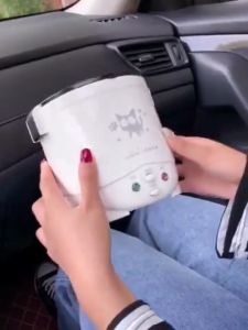 Green White Portable Multifunctional Rice Cooker Food Steamer Electric Mini Rice Cooker 12V For Car / 24V For Truck