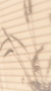 Bisa COD Bayar di Tempat Gratis Ongkir Murah Lebay Sandal Birken Sandal Wanita Sandal Puyuh Sandal Perempuan Sandal Sepatu Sandal Rumah Slipper Sandal Jepit Sandal & Flip Flop Sandal Wanita Premium Madrid Cokelat Doff Murah Meriah