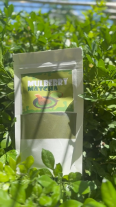 Mulberry Matcha 100g