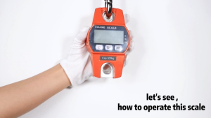 Portable Mini Crane Scale LED Display 300kg Industry Crane Scale Weight Heavy Duty Hanging Hook Scales Digital Hanging Scale with Cast Aluminum Case Handheld 300Kg Crane Scale with Hooks for Farm Hunting Fishing Outdoor