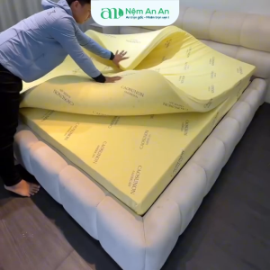 Nệm 10 Phân Cao Su Non American Êm Ái Đầy Đủ Kích Thước