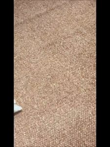 Large Zise 40 High Heels Wedding Shoes Womens Thick Heels Silver Hollow Out Sandals Summer Pointed Bride Shoes Bridesmaid Shoes