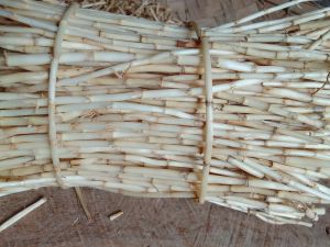 Herbal Untuk Batu Ginjal Akar Alang-alang Segar Akar Ilalang fresh