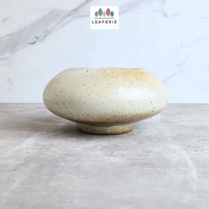 The Leaferie Xavia ceramic pot flowerpot flower plant pots planter planters