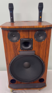Loa kéo Bluetooth chính hãng AZPROAZ-2506-A Bass 40- 4 đường tiếngmạch Reverb 10 núm chỉnh