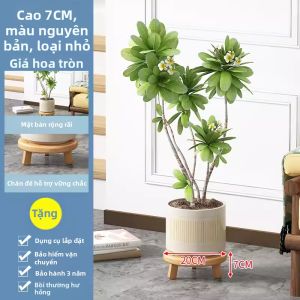 AIMUKE | Kệ Đựng Cây Trong Nhà & Ban Công