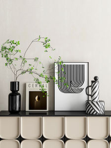 Modern Style Black And White Artistic Home Decorative Accessories Individual Personality Entrance Hall Cabinet Dining Cabinet