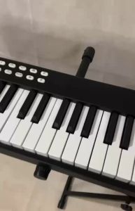 Đàn Piano Woim P-116 Gấp Xếp Gọn 88 Phím Có Pedal Bluetooth Midi Cổng Tai Nghe Chuẩn Quốc Tế