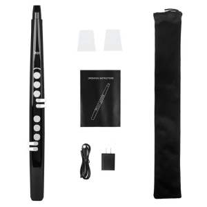 sáo điện tử s100