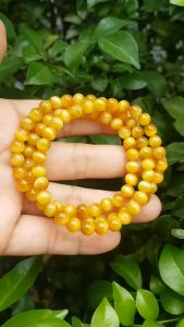 🌸🌻🌸Vòng tay nữ đá mắt hổ tự nhiên vàng anh vip 6mm quấn tay 3 vòng đẹp màu vàng anh tươi đẹp hợp nữ mệnh kim mệnh thổ mệnh thuỷ đeo tay may mắn xinh đẹp sang tay có 850k ạ