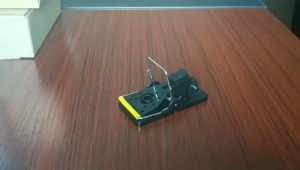 BAIT Jebakan Tikus Jepitan Highly Sensitive Mousetrap ABS 1 PCS - B-11