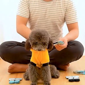 Bàn cào móng kiêm ổ nằm cho Mèo (mẫu mới) - Hara Pet Store