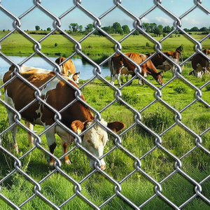 XINDINGHAO | Galvanized Steel Wire Fence Security Net