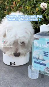 Gentle Paws Natural Organic Pet Mouthwash Oral Care Fresh Breath For Dogs and Cats 500ml Registered Patented
