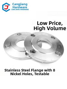CANGJIANG | 304 Stainless Steel Flange/Blind Flange PN10