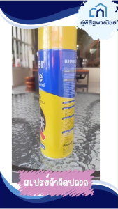 Beger Drite Spray เบเยอร์ไดร้ท์ สเปรย์ป้องกัน และกำจัดปลวก มอด มด แมลงสาบ ปริมาณสุทธิ 450 มล.