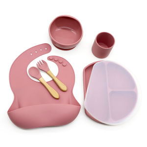 BPA Free 6 Pcs High Quality Silicone Feeding Set with Box