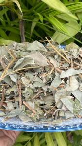 [ GIÁ TỐT ] 1kg Kim tiền thảo khô sạch [ hỗ trợ s.ỏi th.ận ] … LOẠI 1 chuyên dùng để pha trà - Hàng sạch thơm cao cấp