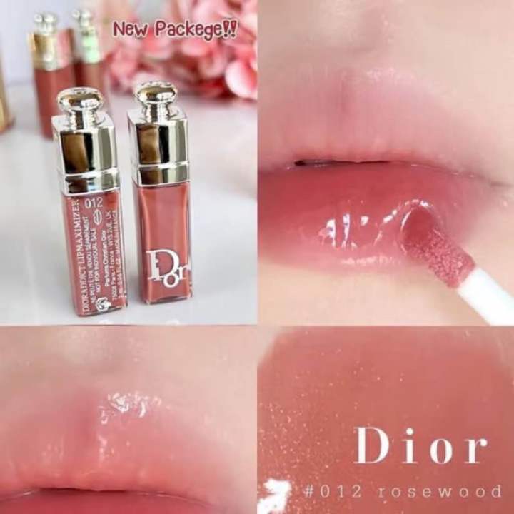 Dior 2024 gloss rosewood