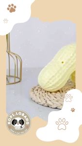 ✅[SG] MR. PEANUT TEETH CLEANING CHEWING TOY ★ Dental Hygiene Training ★ FREE Enrichment E-Guide Worth $7