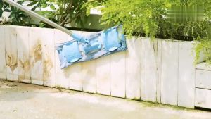 3PCS Drill Scrubber Brush Carpet Glass Car Tires Plastic Round Electric Cleaning Brush Multipurpose Cleaning Tool Kit