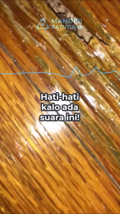 Anti Rayap Eviron - Pembasmi Serangga - Pembasmi Rayap Kayu - Obat Racun Rayap