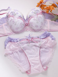 Sweet Floral Embroidery Lace Bra And Panty Set Womens Underwear Ensemble Gather Small Chest Appear Large round Disk Chest Thin Bra