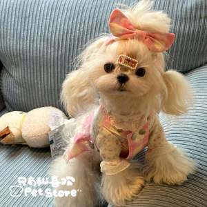 Handmade Pet Hair Accessories Doggie Plaid Hairband 3D Butterfly Knot Head Flower Grooming Comb Clip for Yorkie Puppies