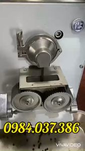 Máy vo viên hoàn mềm viên tễ size 6 8 10mm