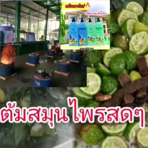 4YL แชมพูสมุนไพรต้มสด สูตรใบหมี่ แท้ ลดร่างคันรังแค สำหรับผมแห้ง