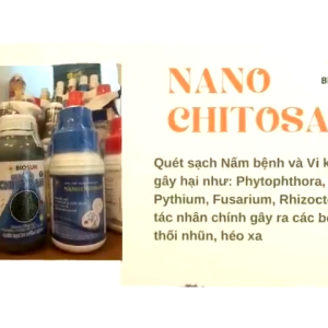 Nano Chitosan BioSun 5% 500ml Chế Phẩm Sinh Học Phòng Nấm Cho Cây Công Nghiệp Và Cây Ăn Trái